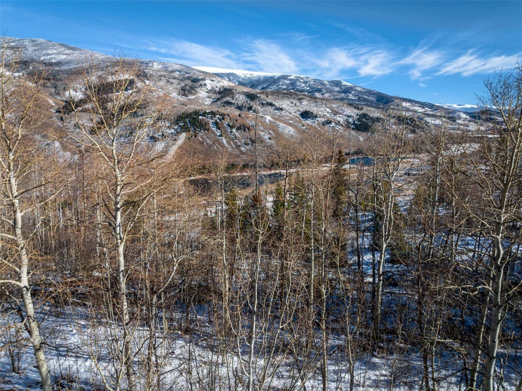 Tbd Whetstone Drive Silverthorne CO 80498