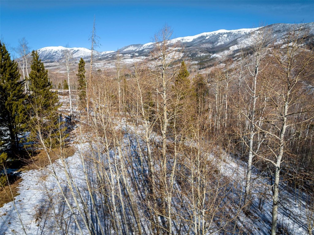Tbd Whetstone Drive Silverthorne CO 80498