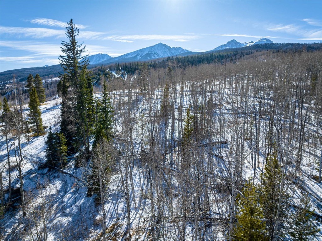 Tbd Whetstone Drive Silverthorne CO 80498