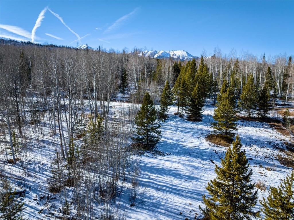 Tbd Whetstone Drive Silverthorne CO 80498