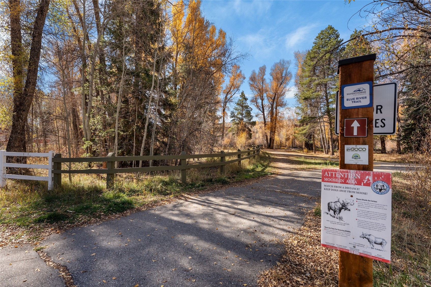 245 Tennis Court Silverthorne CO 80498