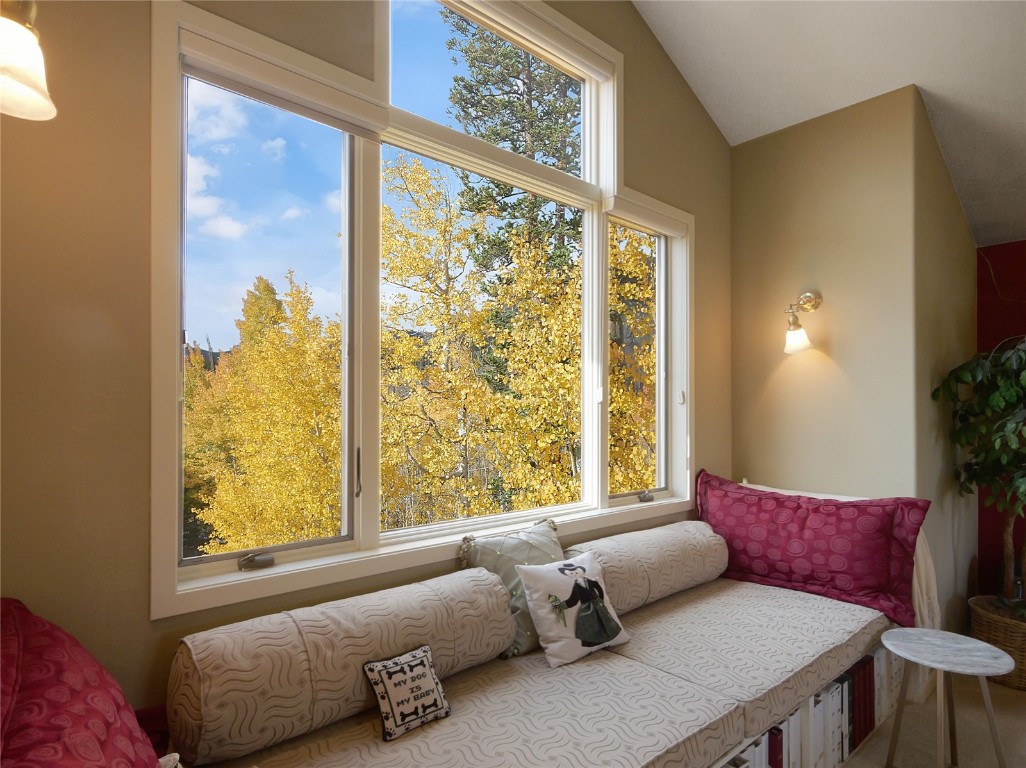 28 Sky Pilot Drive Silverthorne CO 80498