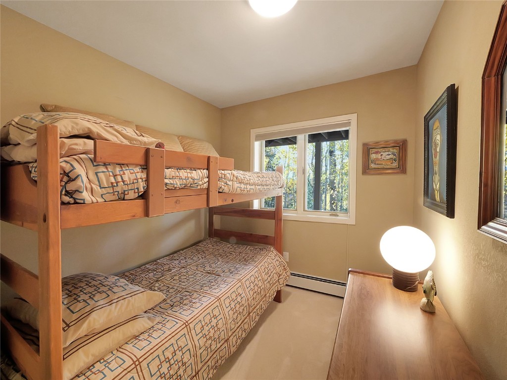 28 Sky Pilot Drive Silverthorne CO 80498