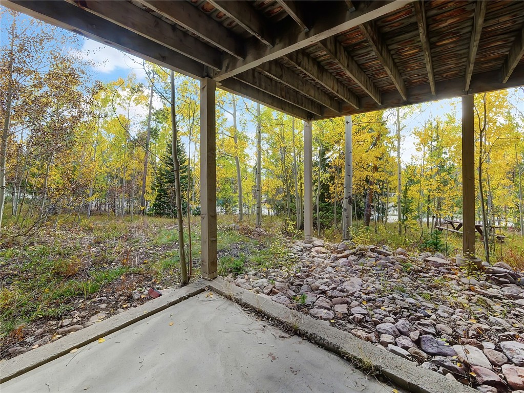 28 Sky Pilot Drive Silverthorne CO 80498