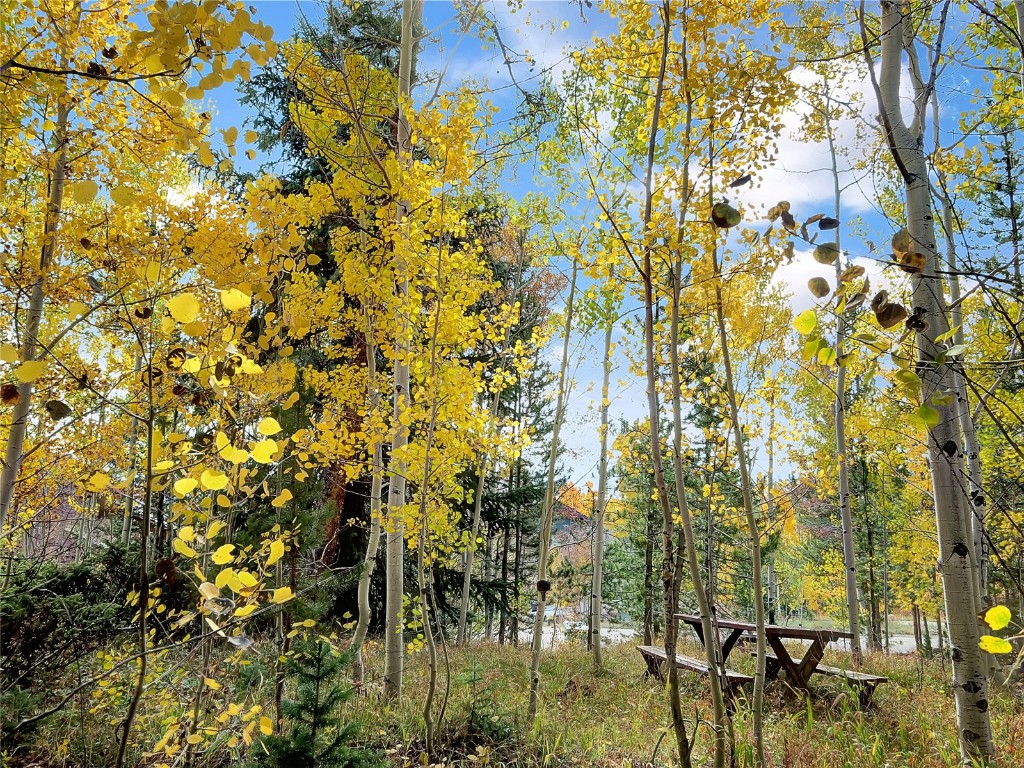 28 Sky Pilot Drive Silverthorne CO 80498