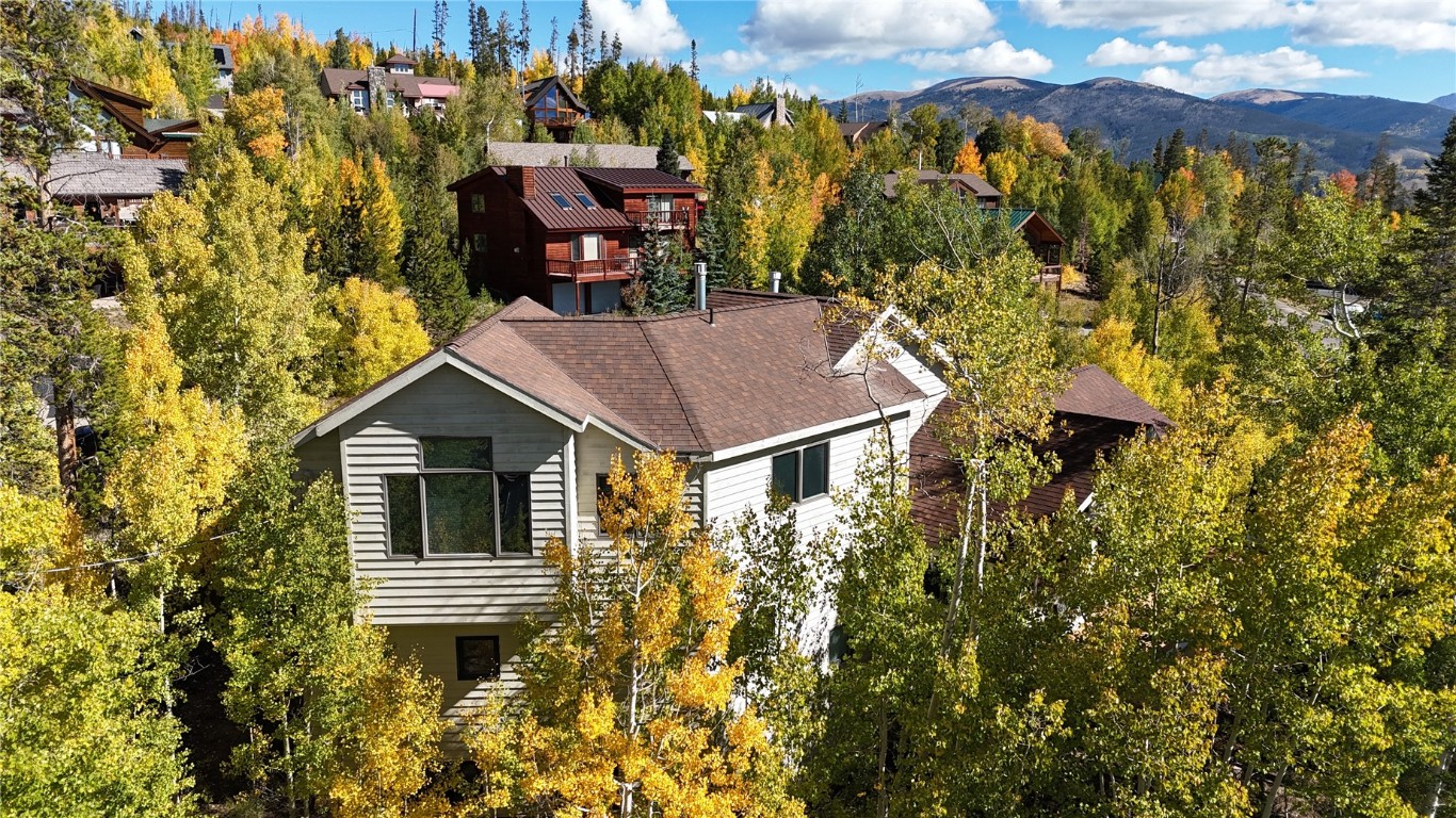 28 Sky Pilot Drive Silverthorne CO 80498
