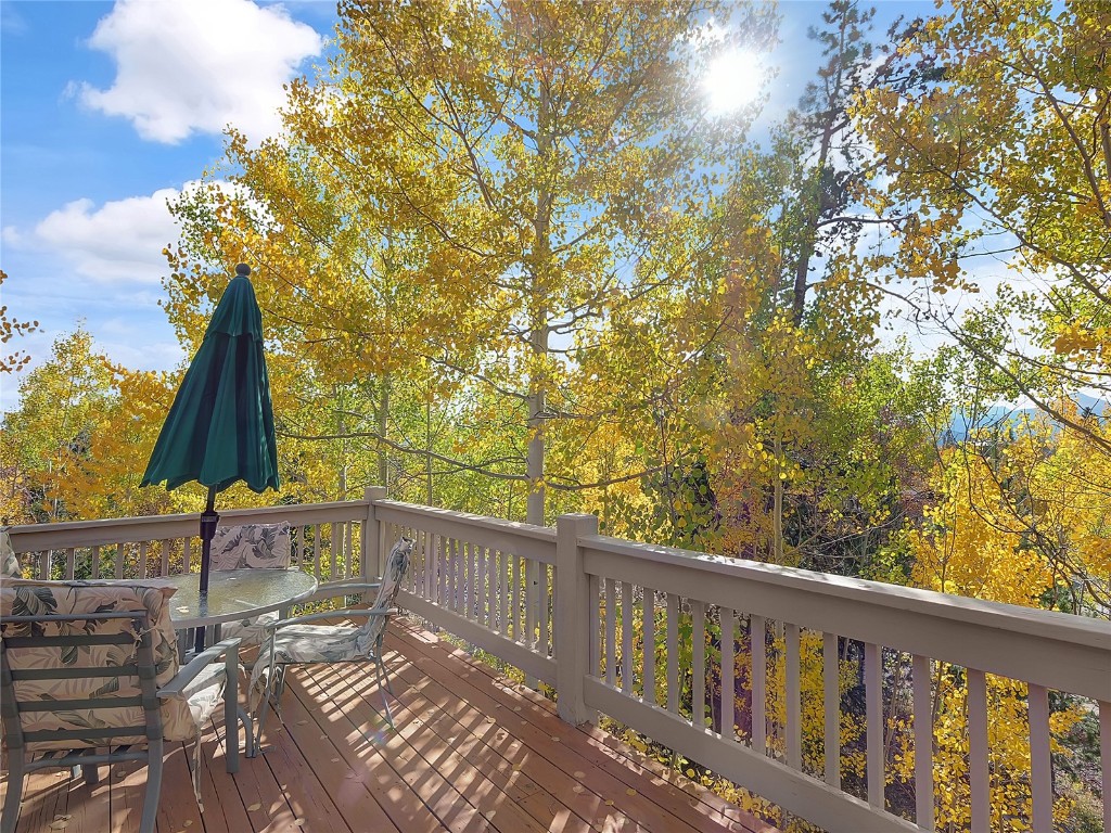 28 Sky Pilot Drive Silverthorne CO 80498