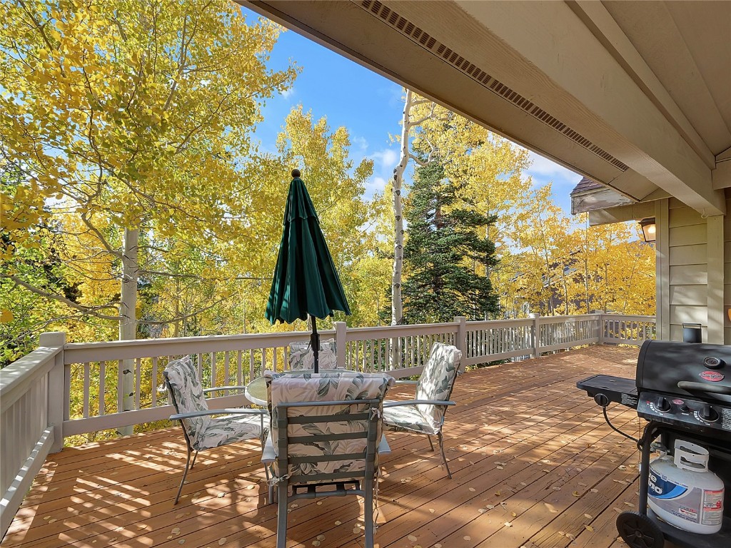 28 Sky Pilot Drive Silverthorne CO 80498