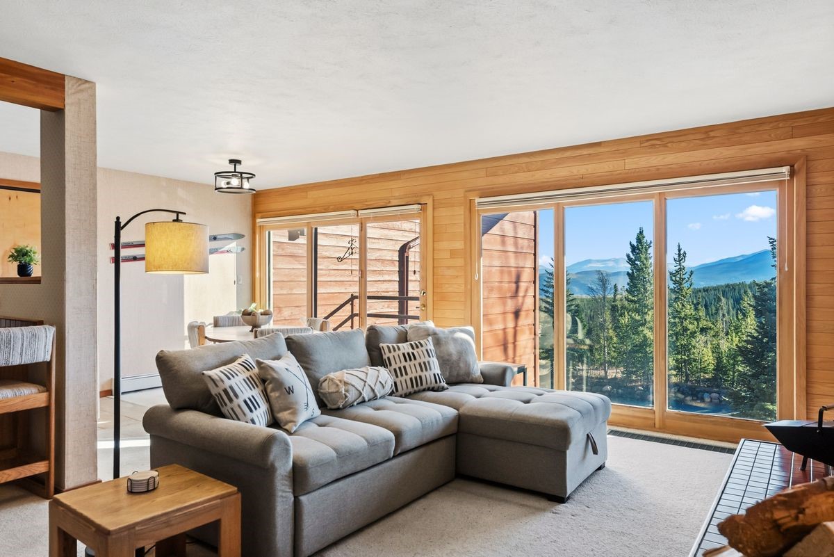 91300 Ryan Gulch Road Silverthorne CO 80498
