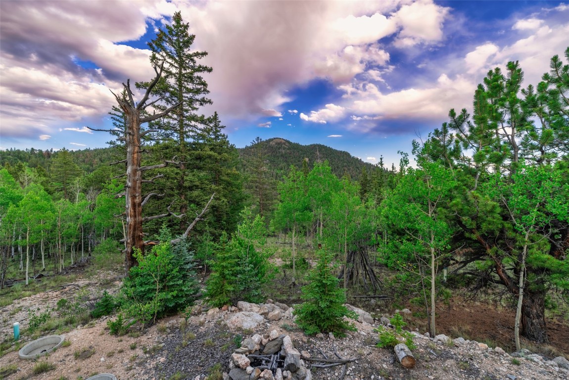 274 Folsom Drive Como CO 80456