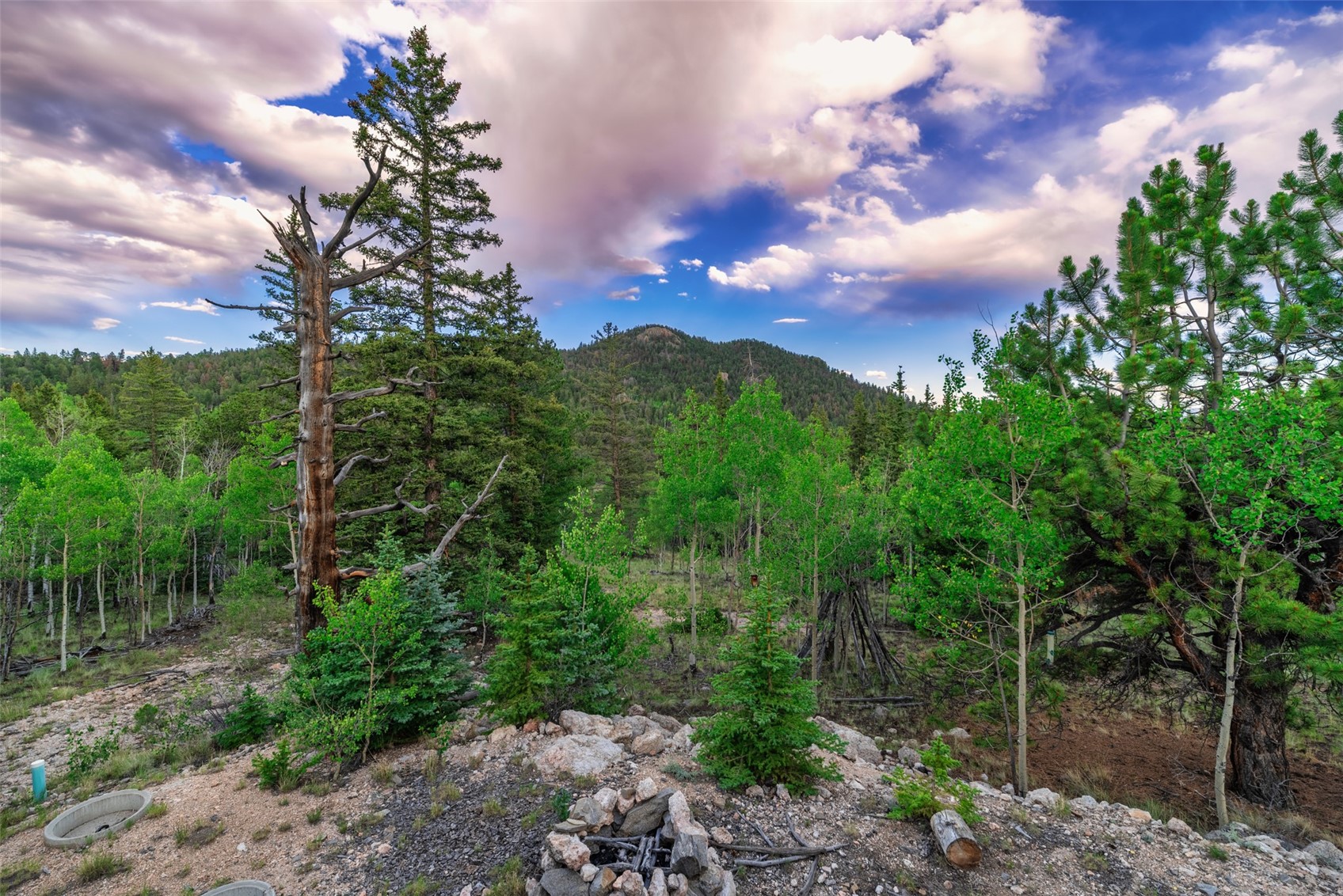 274 Folsom Drive Como CO 80456