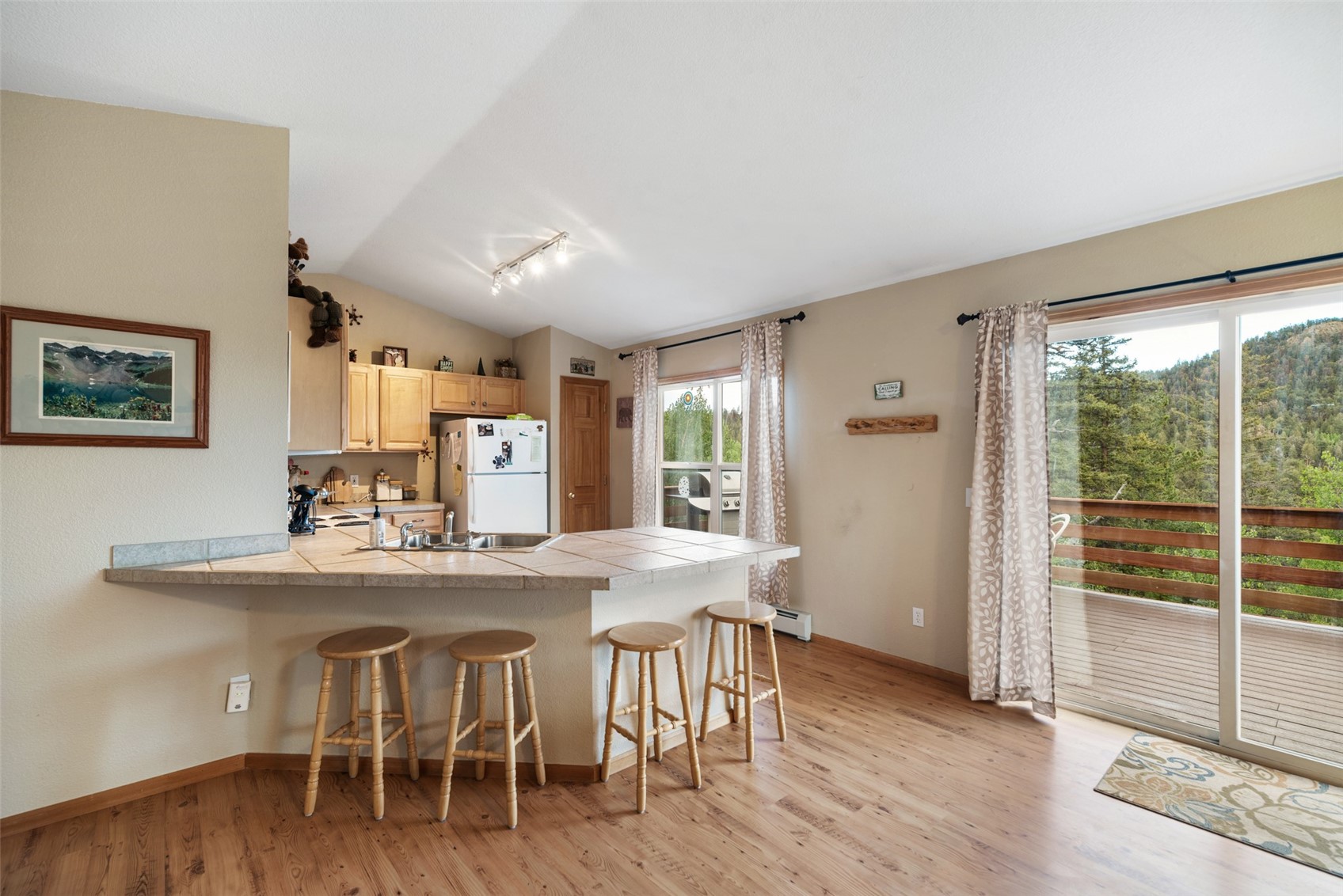 274 Folsom Drive Como CO 80456