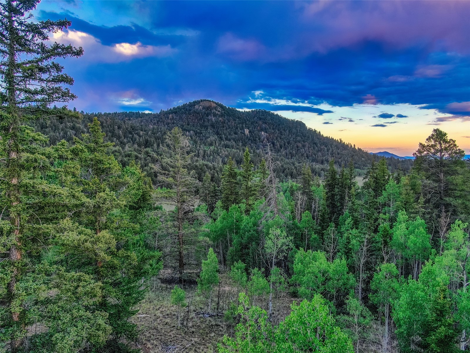 274 Folsom Drive Como CO 80456