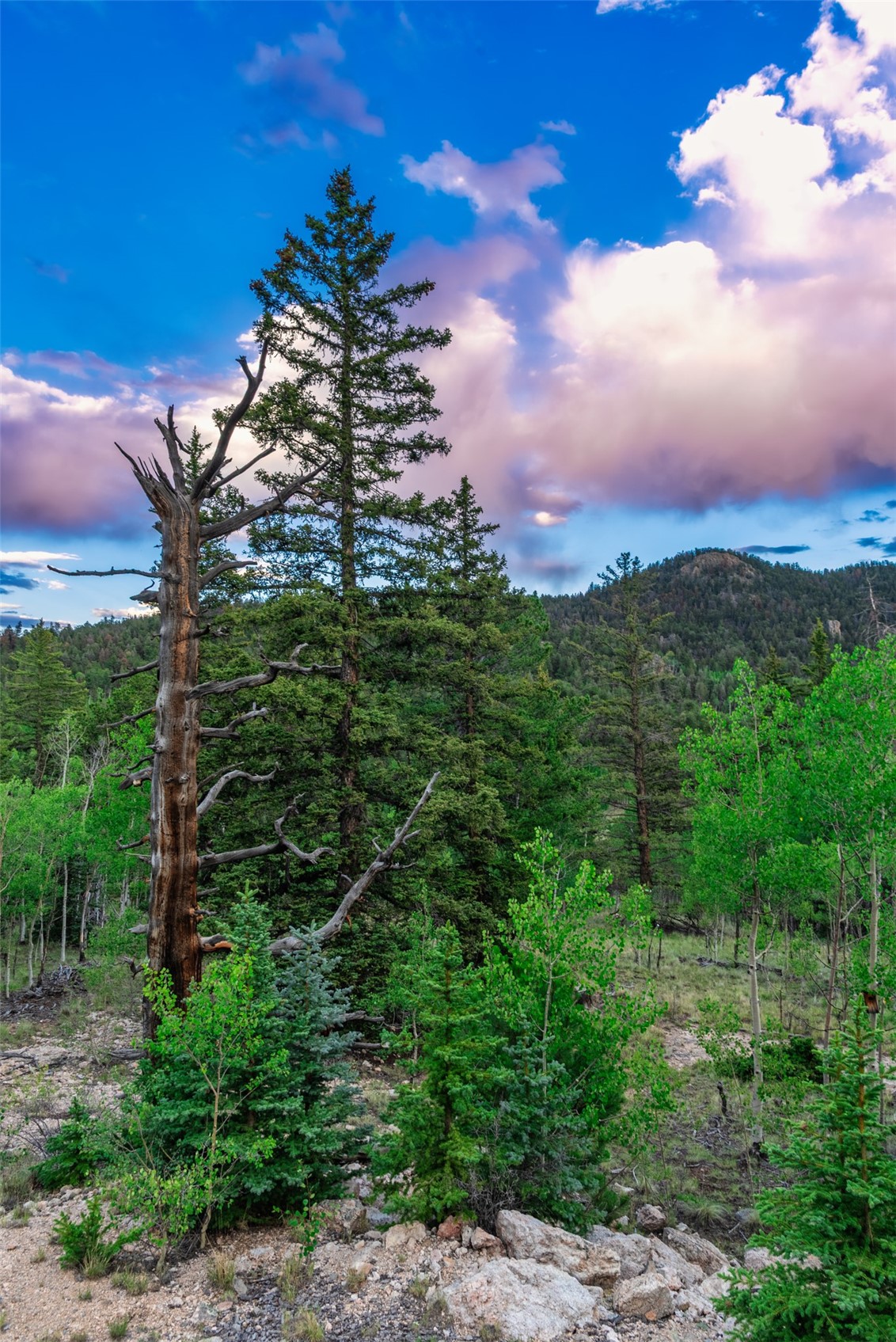 274 Folsom Drive Como CO 80456