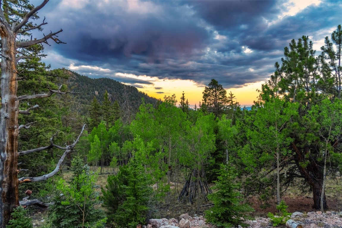 274 Folsom Drive Como CO 80456