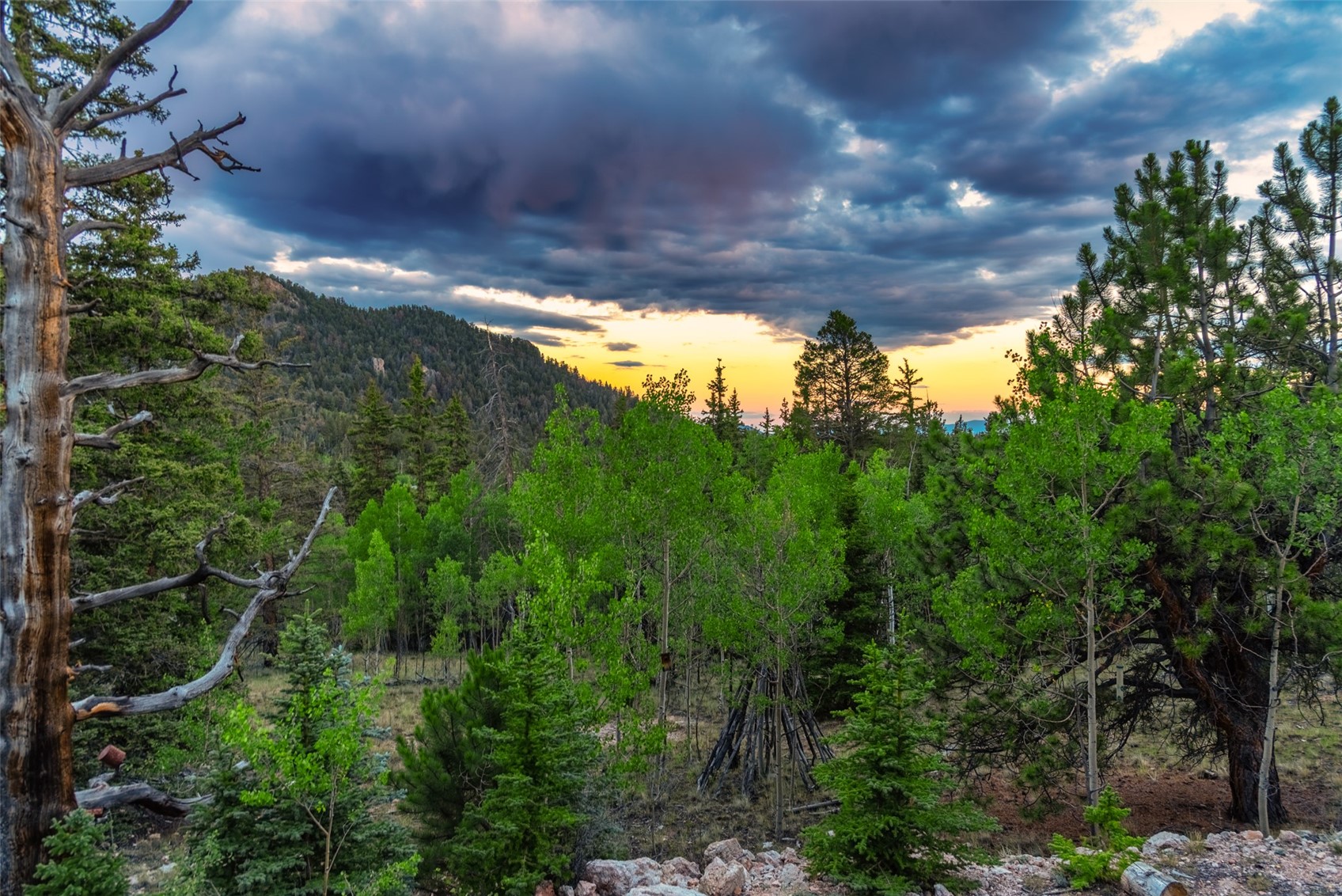 274 Folsom Drive Como CO 80456