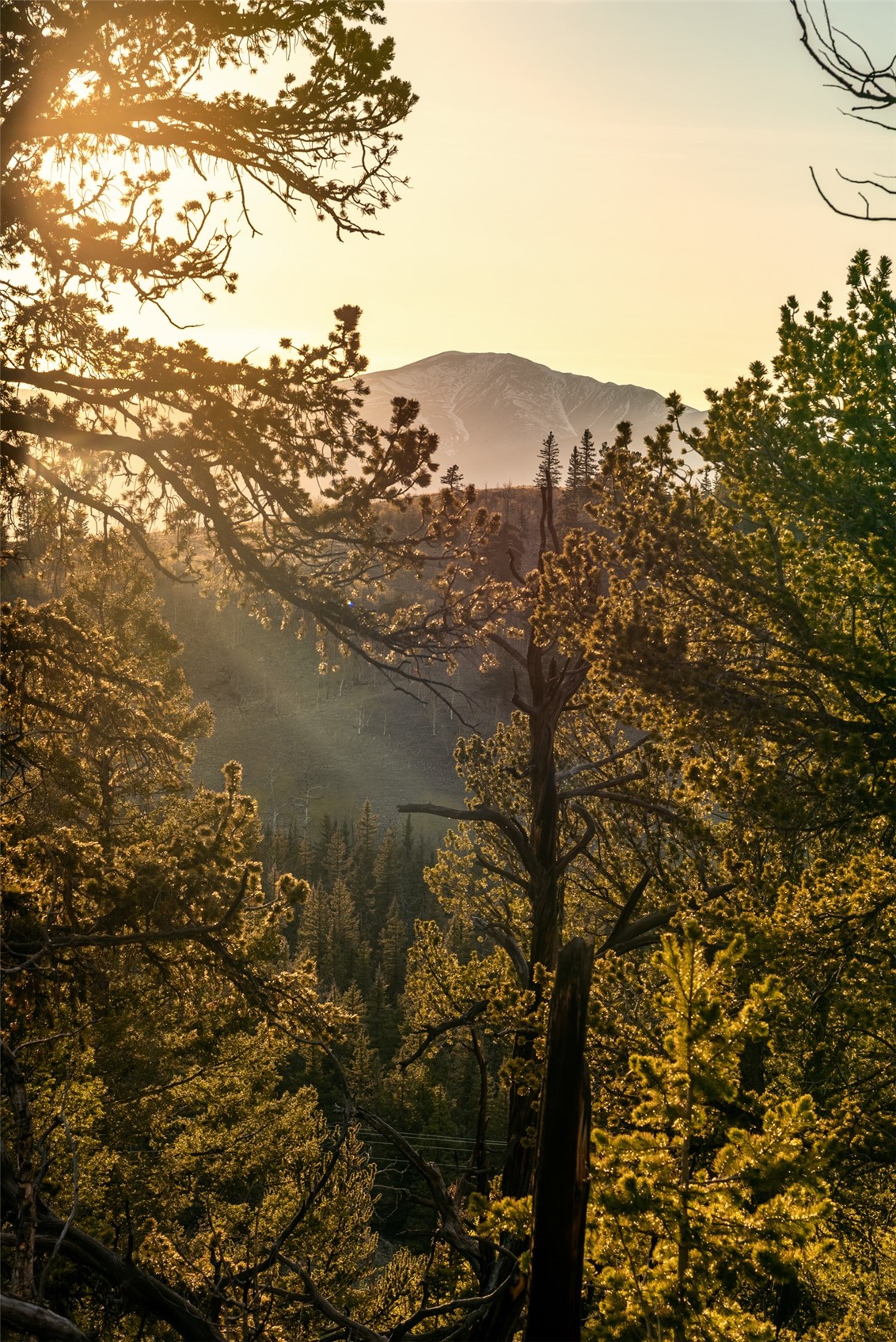 491 Shoshone Drive Como CO 80432