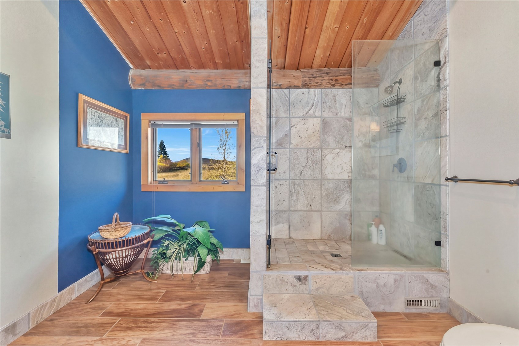 29785 Elk View Drive Steamboat Springs CO 80487