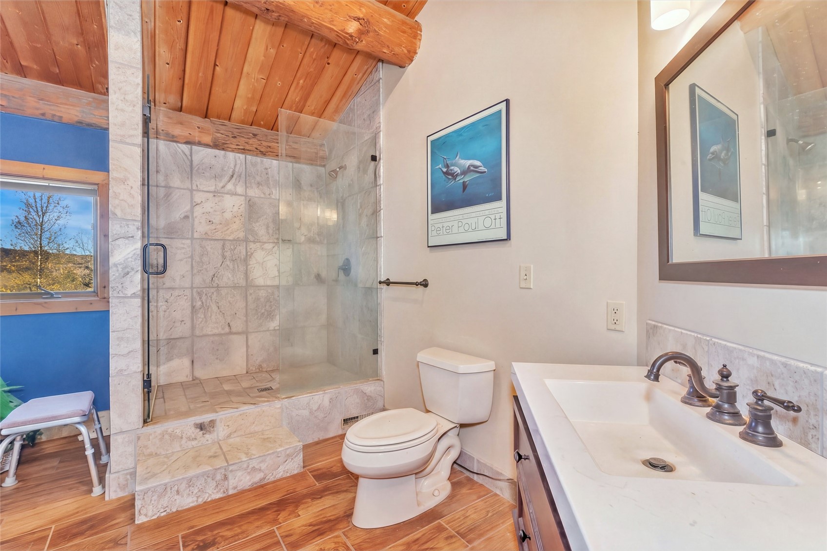 29785 Elk View Drive Steamboat Springs CO 80487