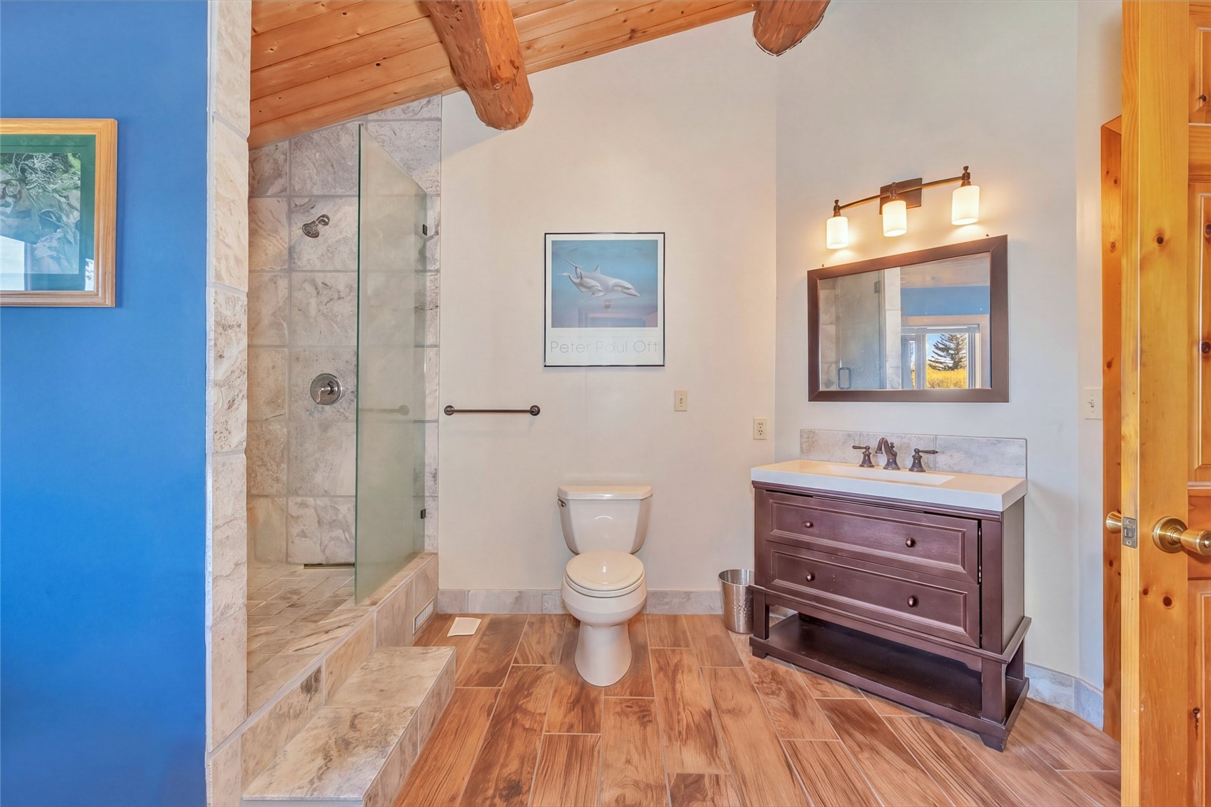 29785 Elk View Drive Steamboat Springs CO 80487