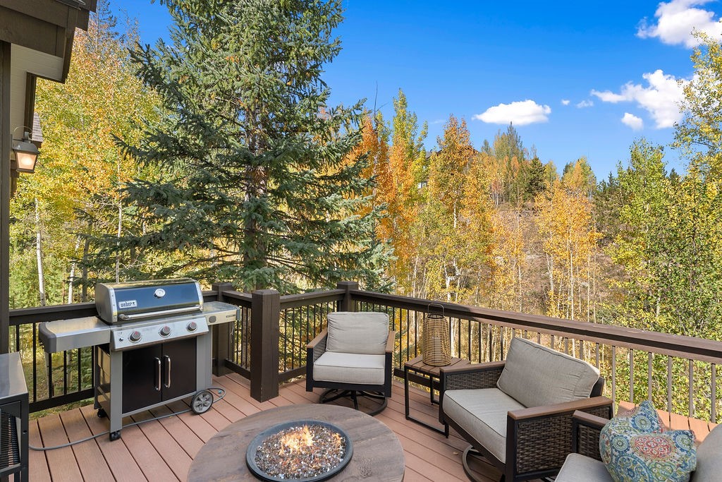 704 Willowbrook Road Silverthorne CO 80498