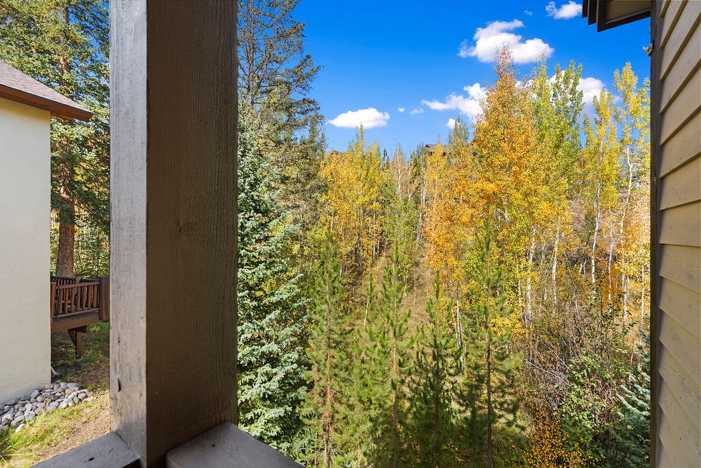 704 Willowbrook Road Silverthorne CO 80498