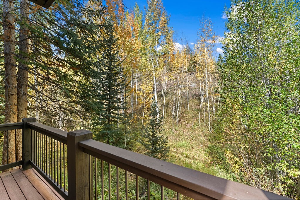 704 Willowbrook Road Silverthorne CO 80498