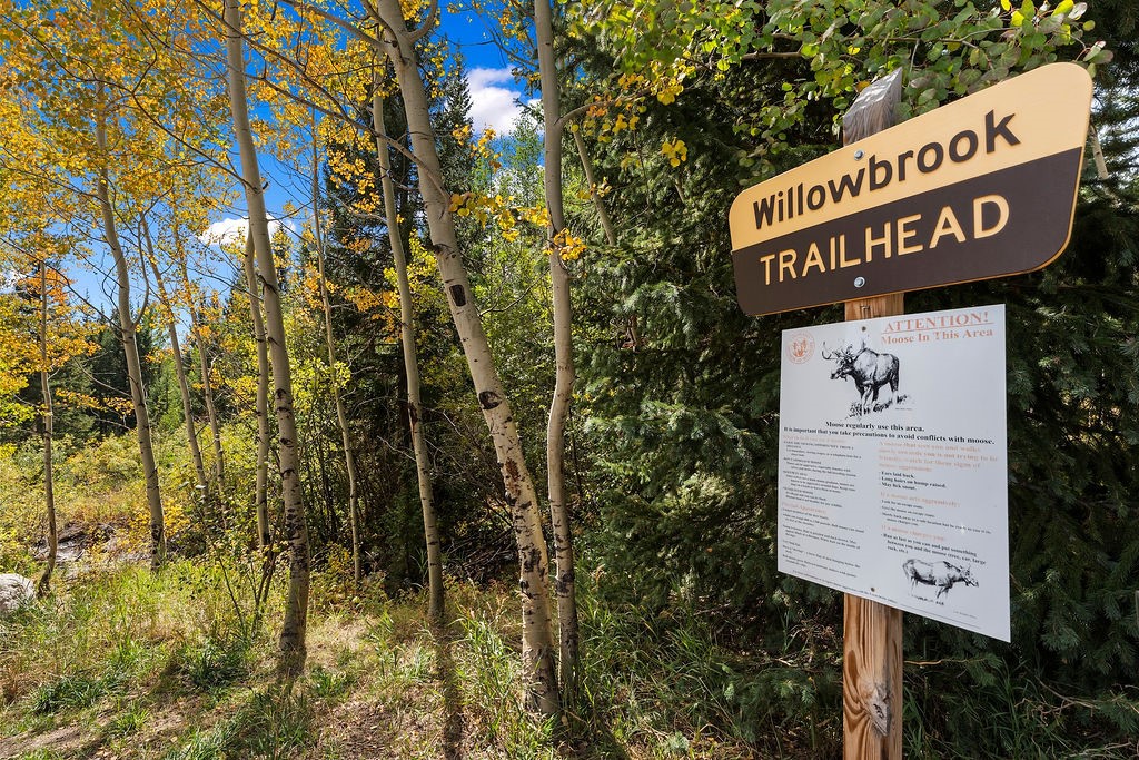 704 Willowbrook Road Silverthorne CO 80498