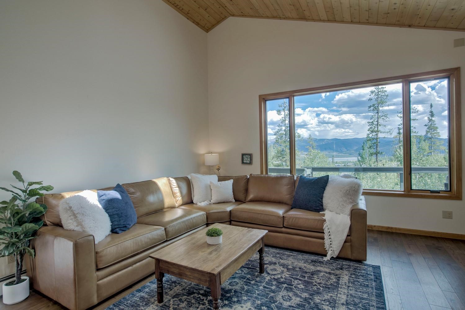 102 Thimbleberry Way Silverthorne CO 80498