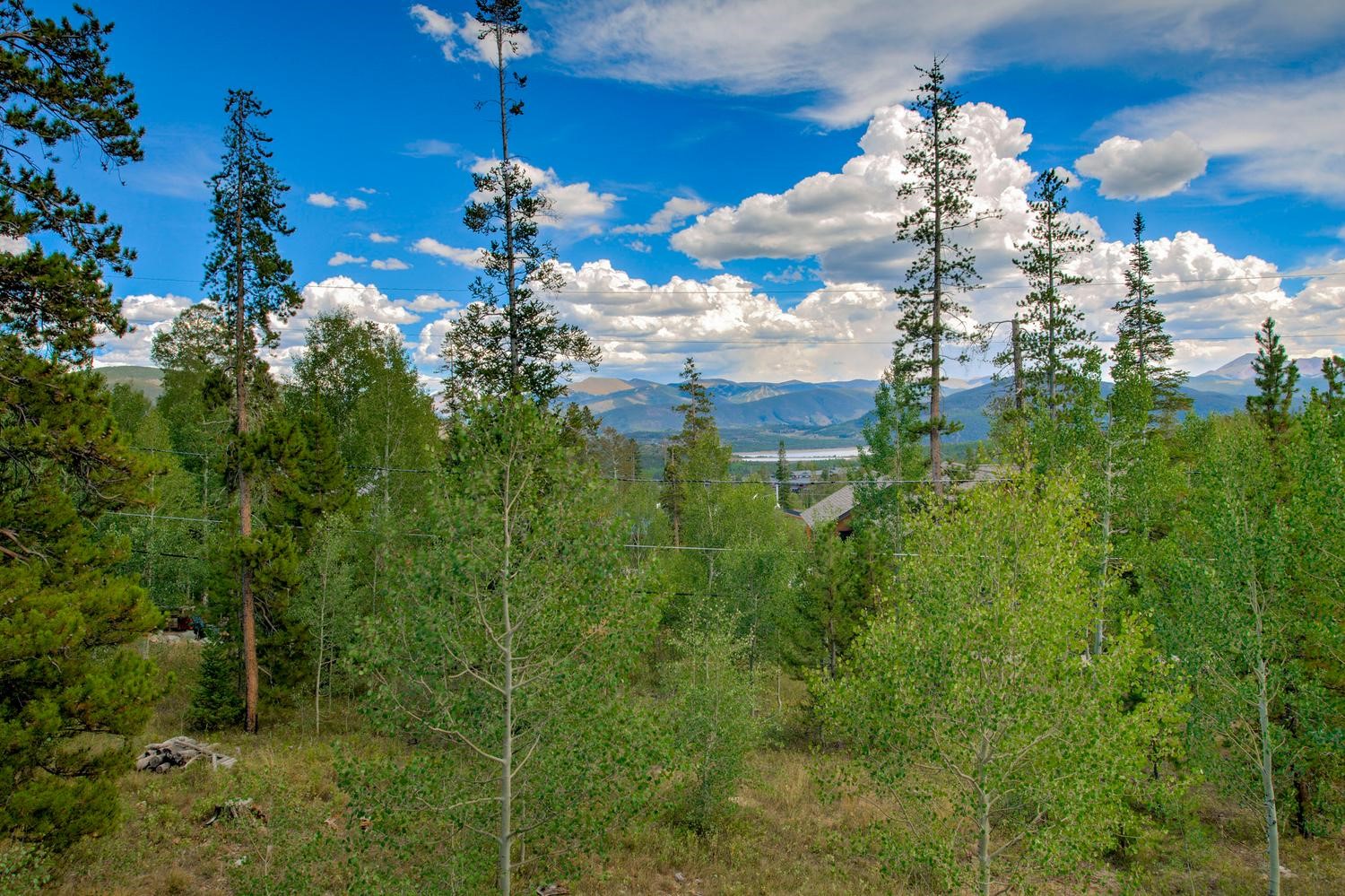 102 Thimbleberry Way Silverthorne CO 80498