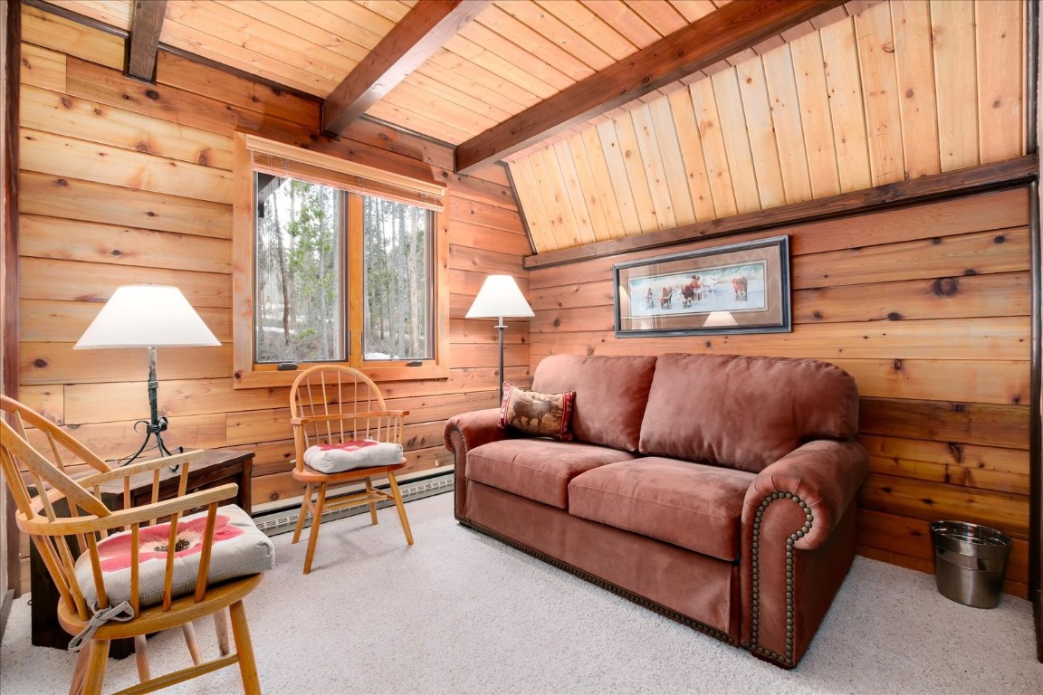 522 Wellington Road Breckenridge CO 80424