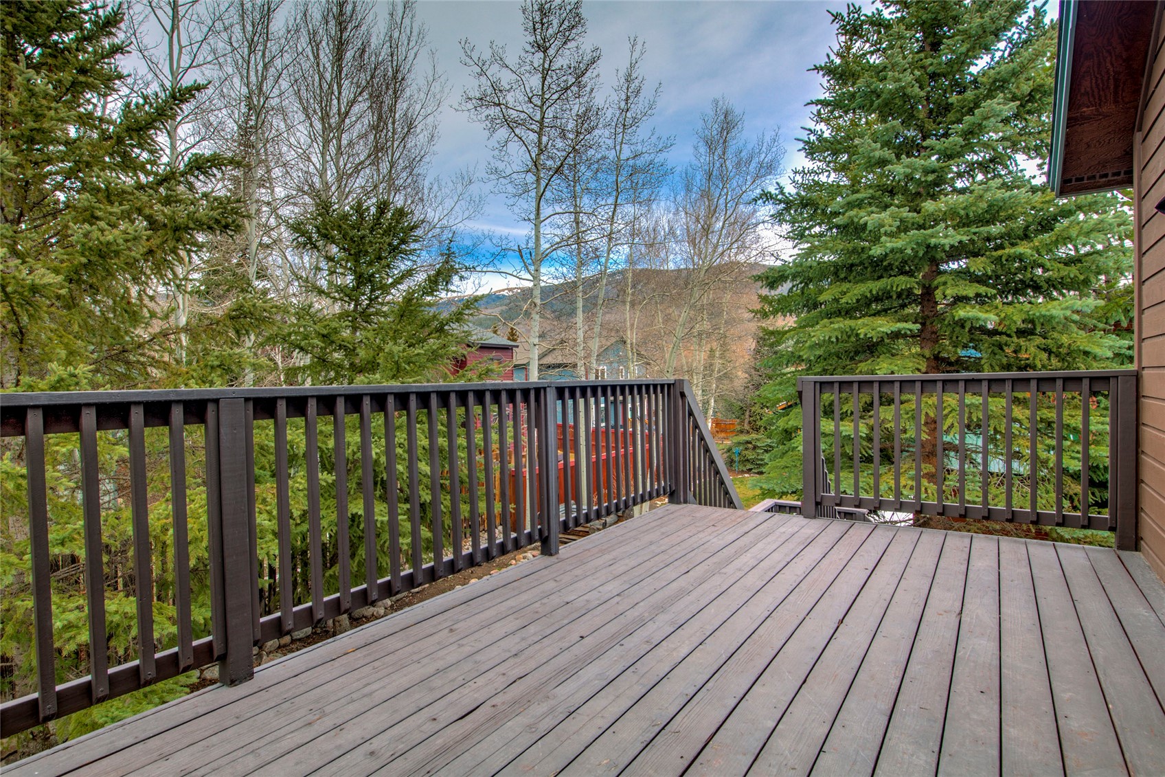 480 W Coyote Drive Silverthorne CO 80498