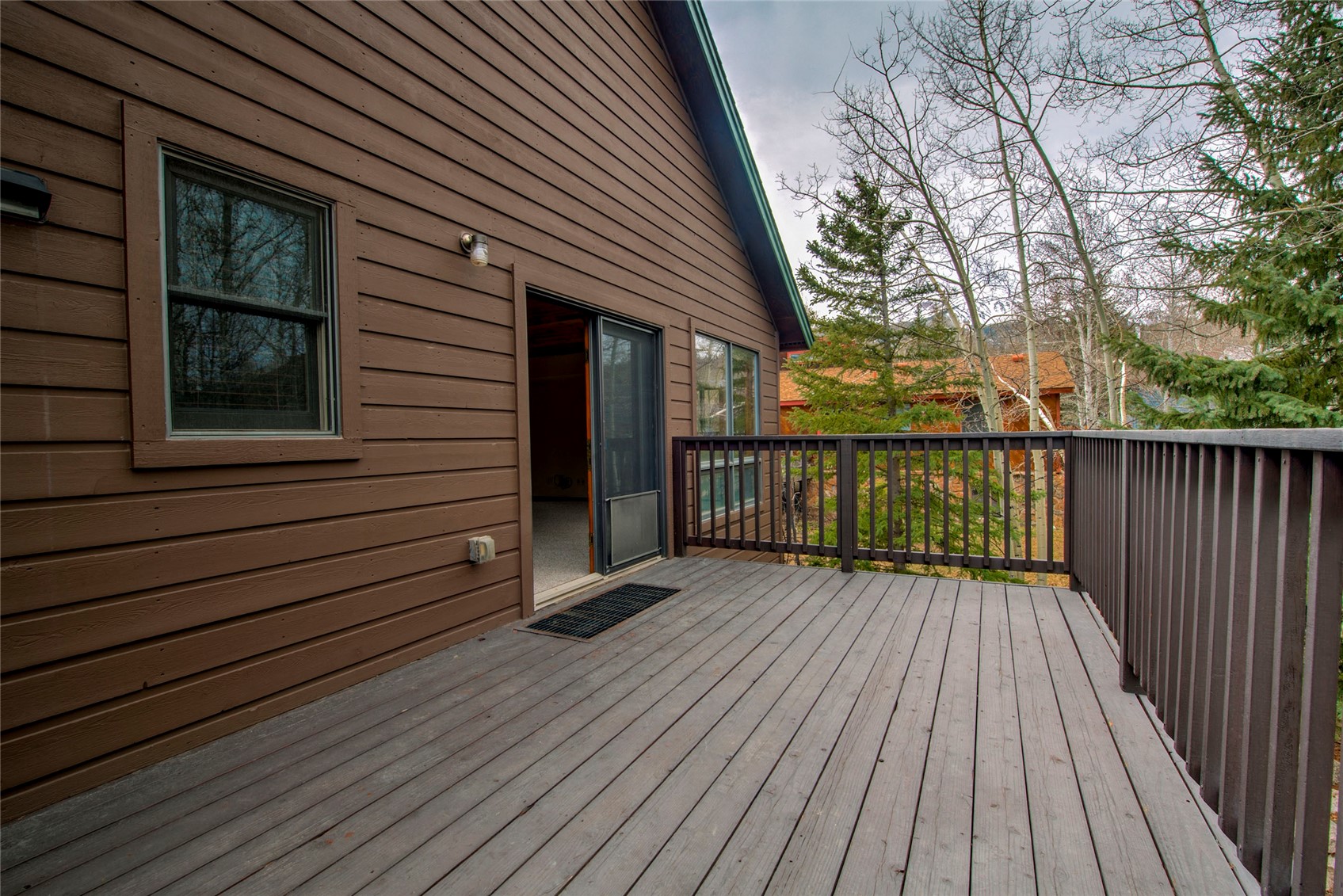 480 W Coyote Drive Silverthorne CO 80498