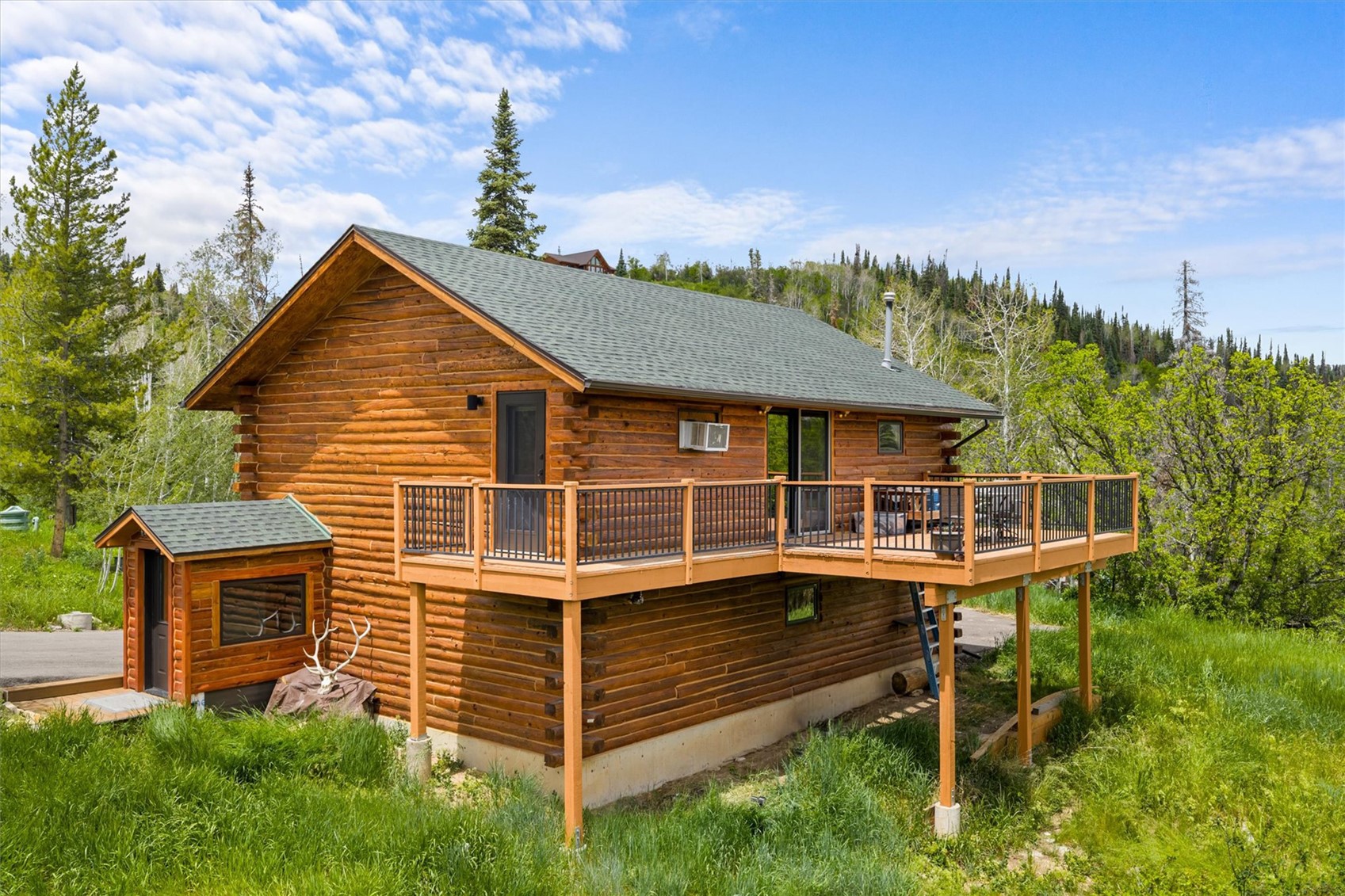30232 Bear Trail Steamboat Springs CO 80487
