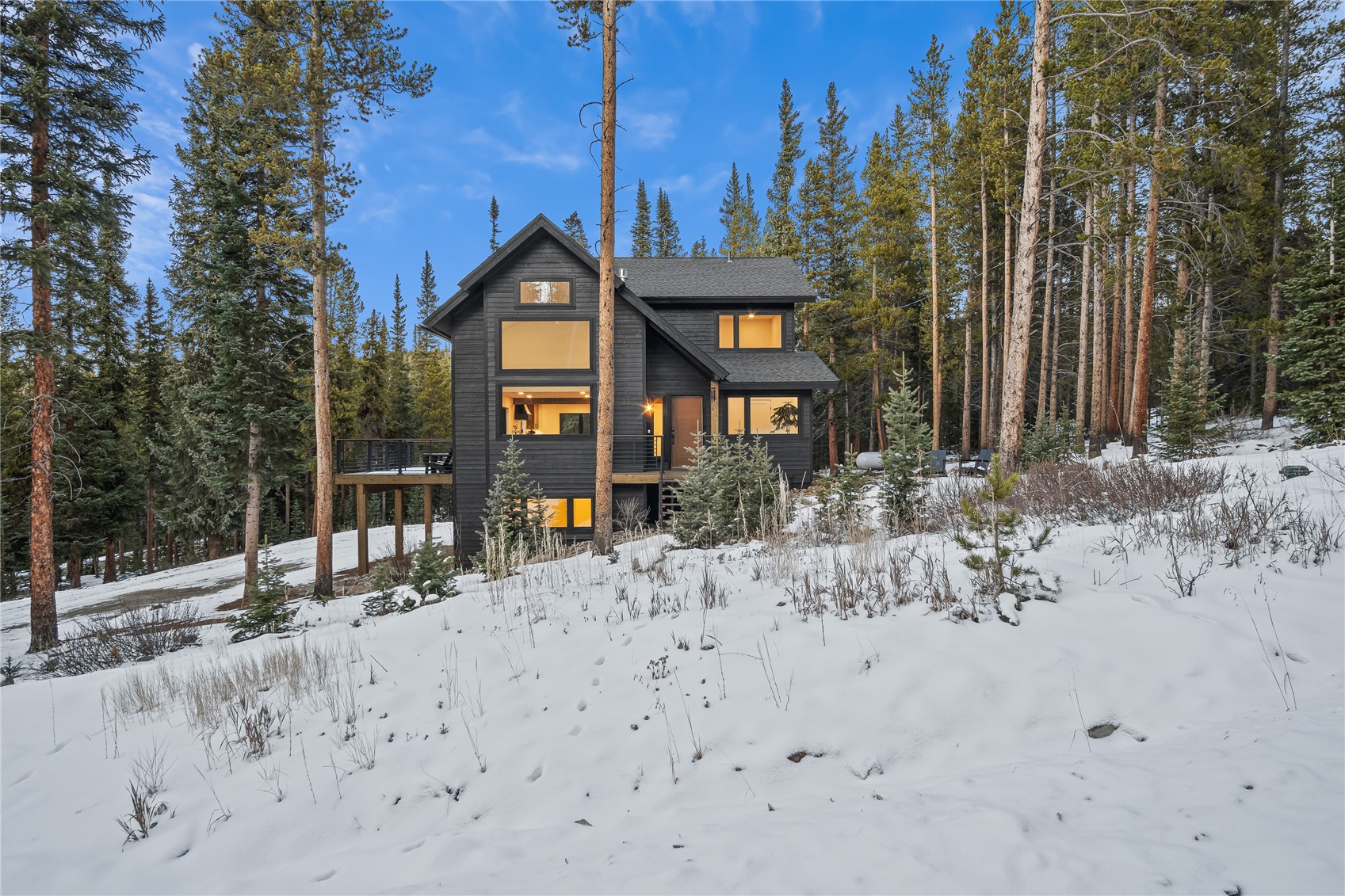 23 County Road 534 Breckenridge CO 80424