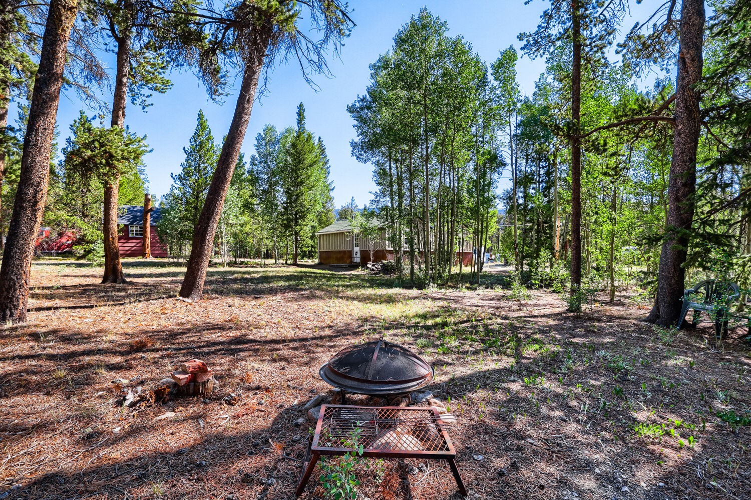 67 Pine Street Alma CO 80420