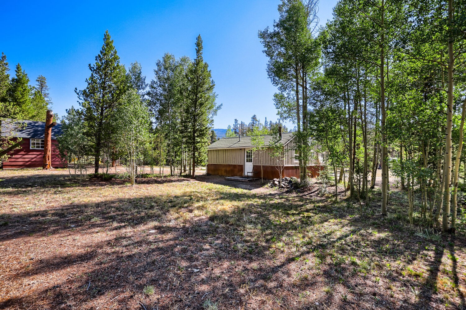 67 Pine Street Alma CO 80420