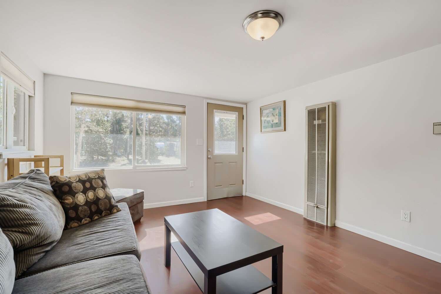 67 Pine Street Alma CO 80420