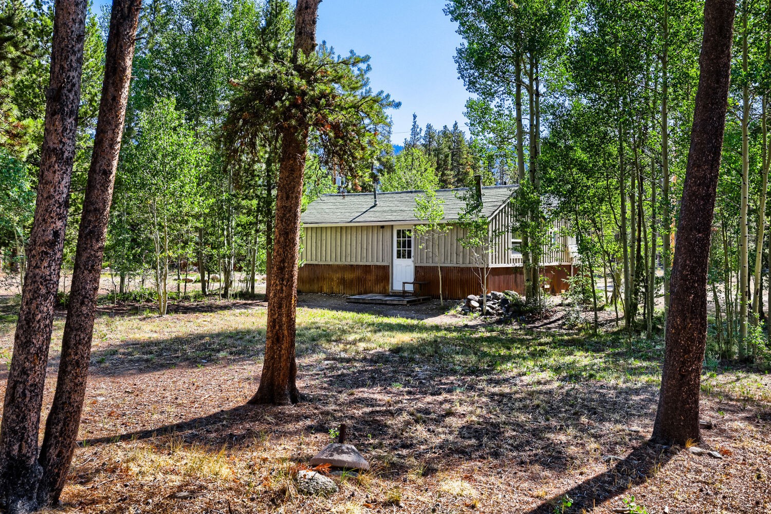 67 Pine Street Alma CO 80420