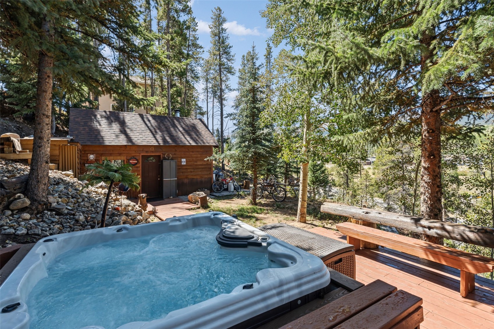 231 Fairview Boulevard Breckenridge CO 80424