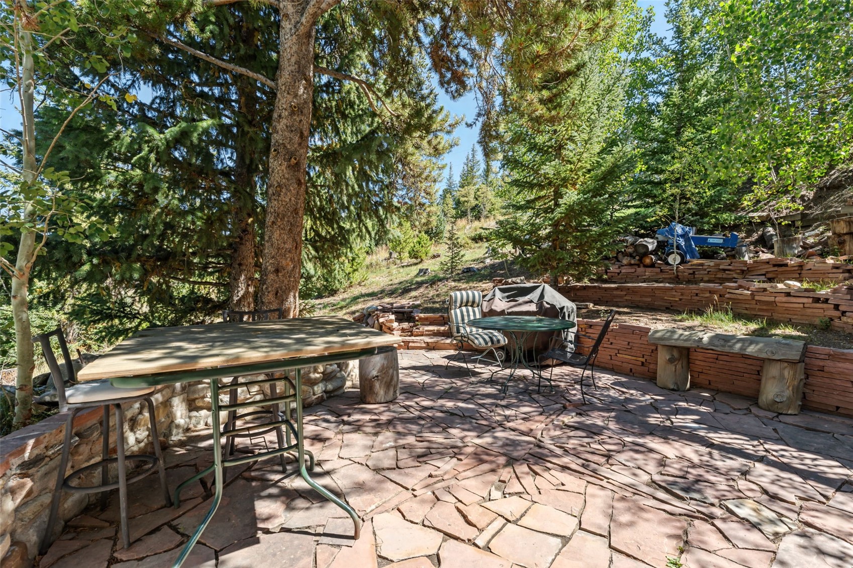 231 Fairview Boulevard Breckenridge CO 80424