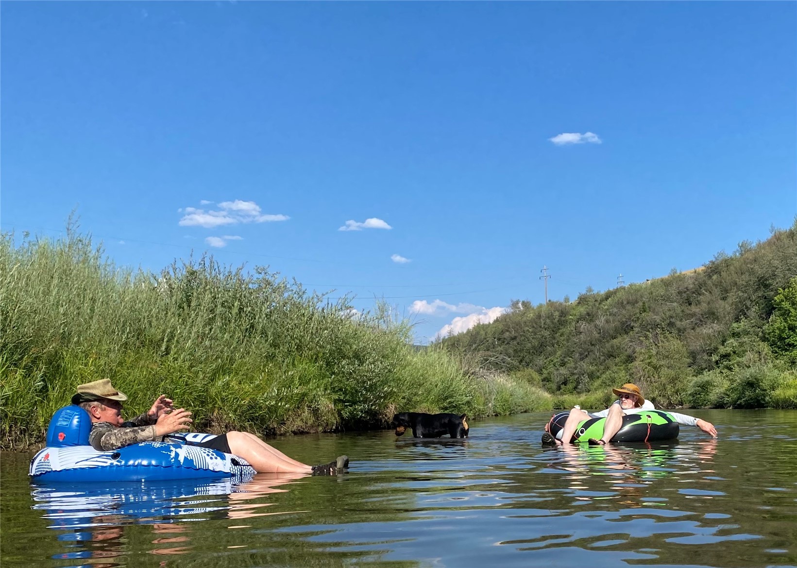 38430 County Road 179 Steamboat Springs CO 80487
