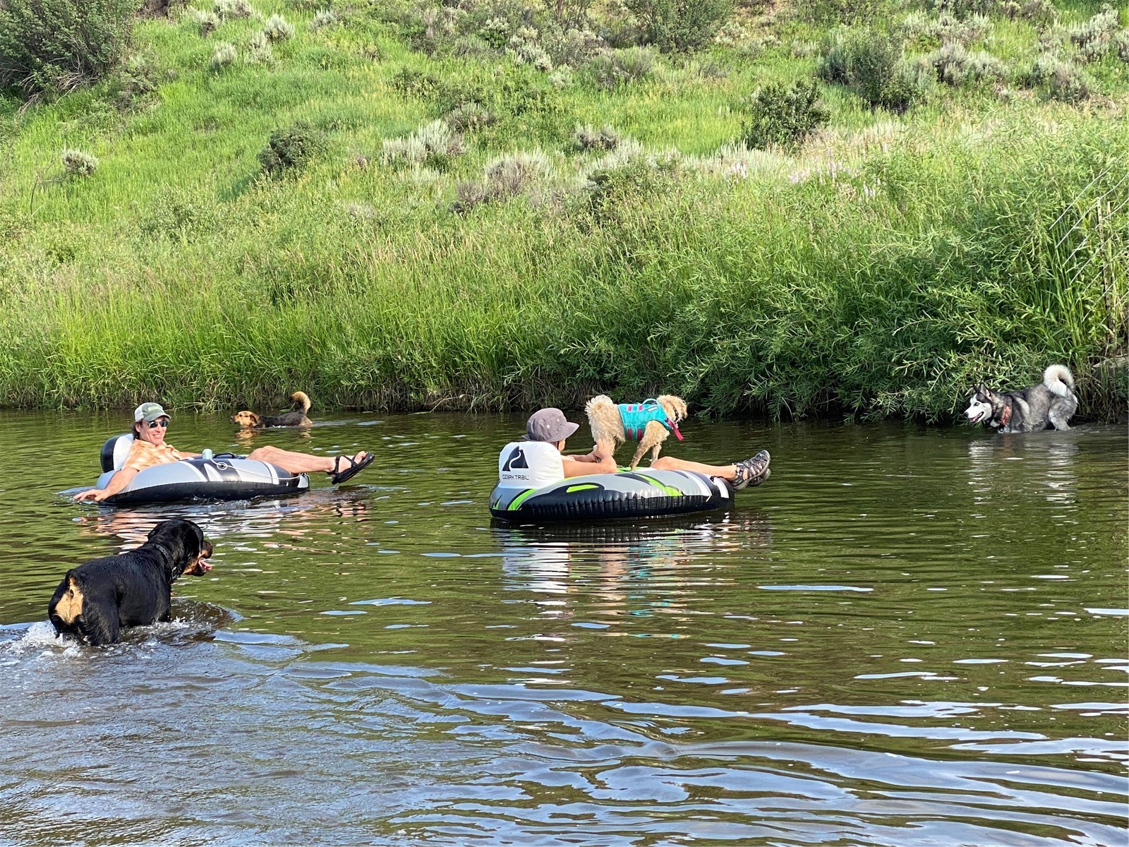 38430 County Road 179 Steamboat Springs CO 80487