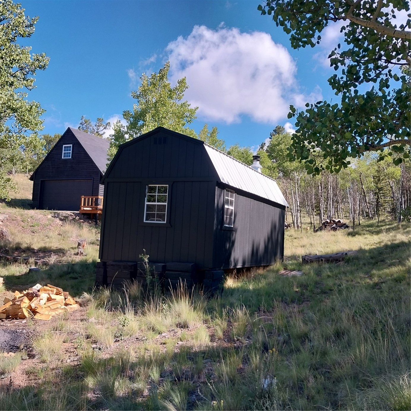 1391 Ute Trail Como CO 80432