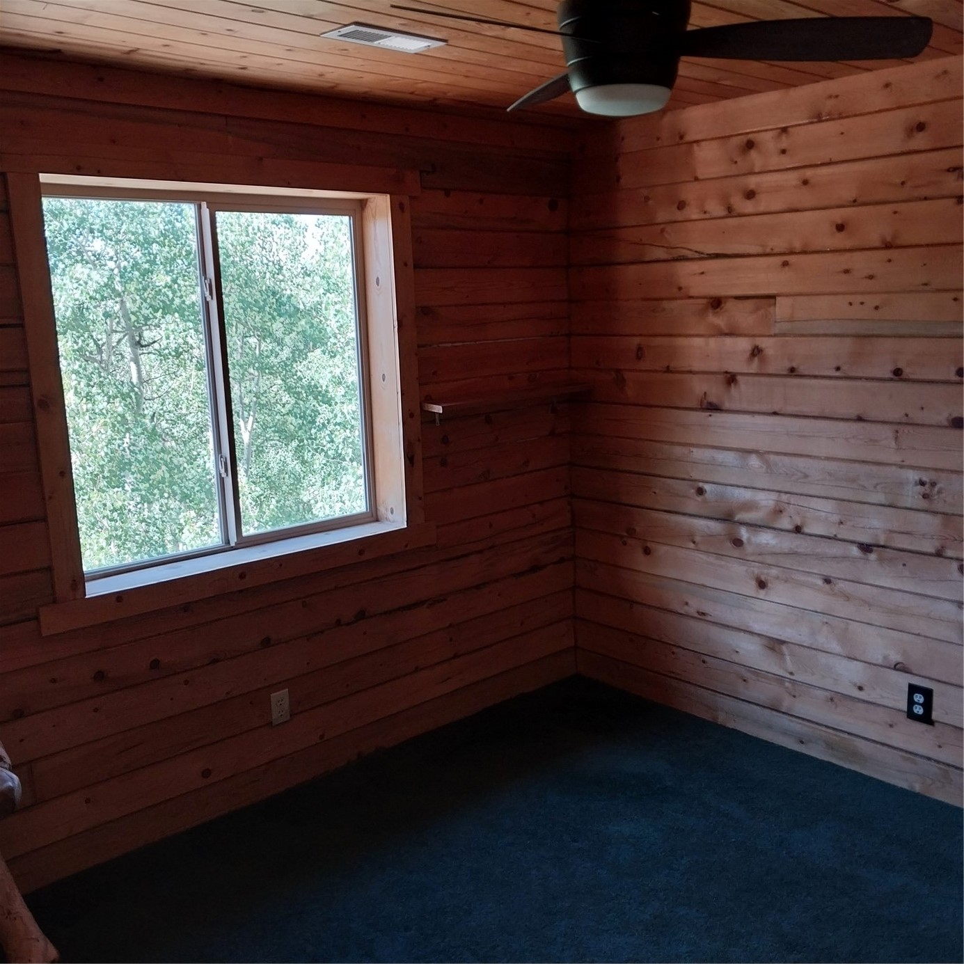 1391 Ute Trail Como CO 80432