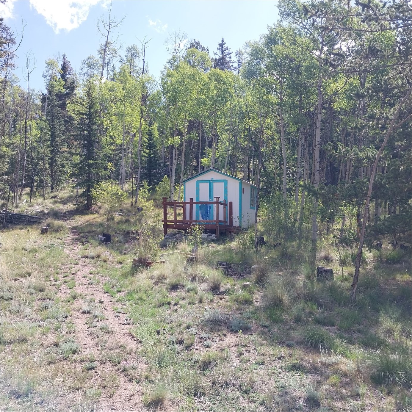 1391 Ute Trail Como CO 80432