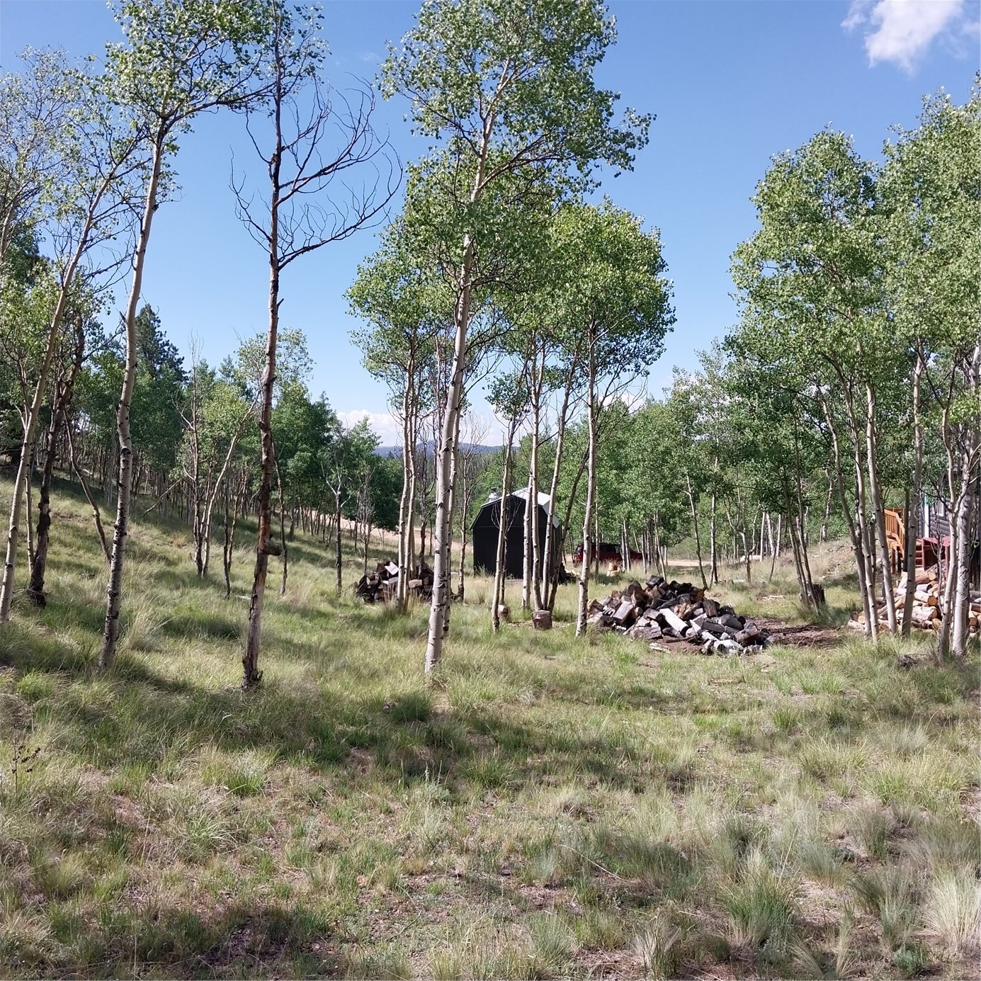 1391 Ute Trail Como CO 80432