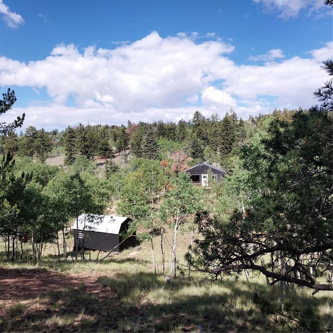 1391 Ute Trail Como CO 80432