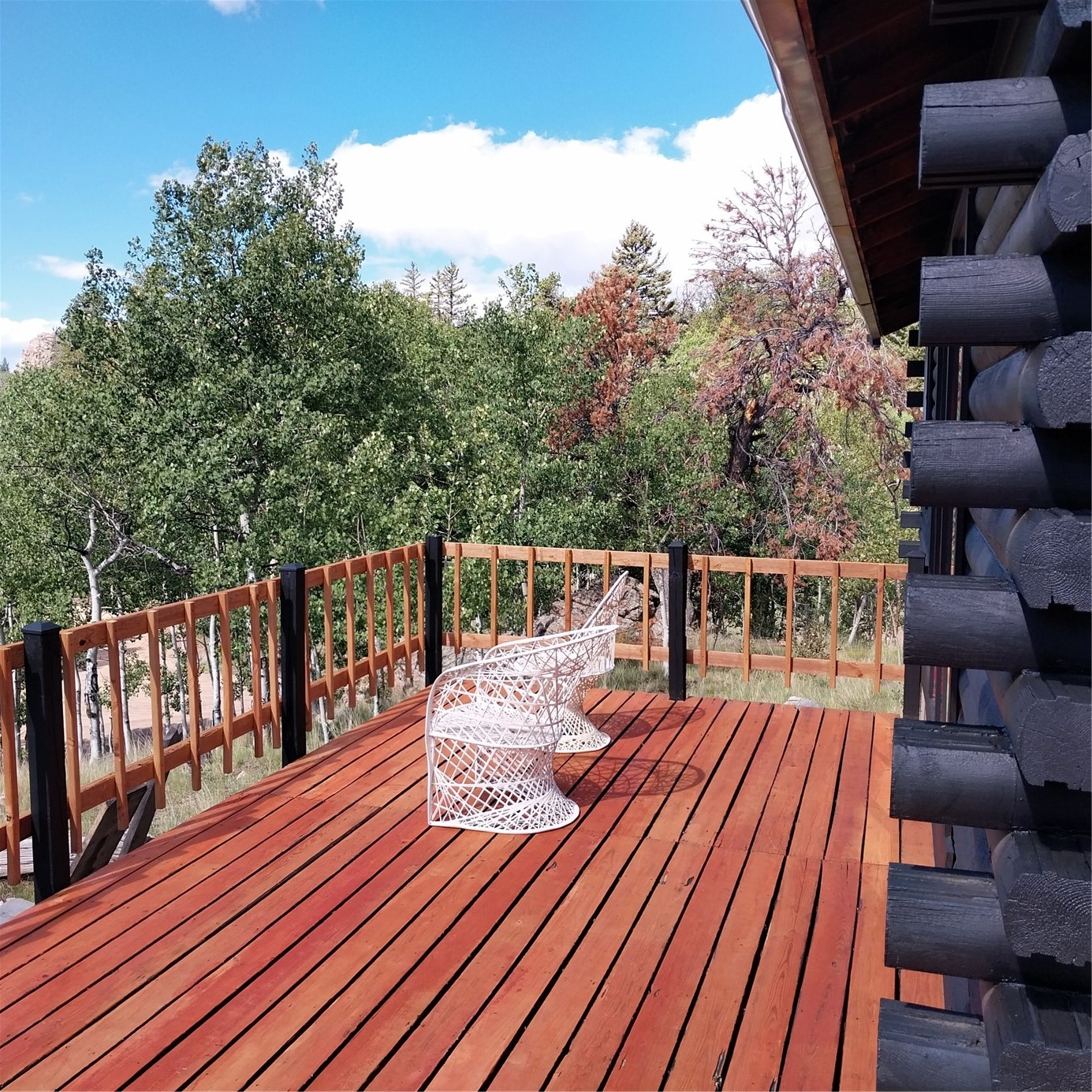 1391 Ute Trail Como CO 80432