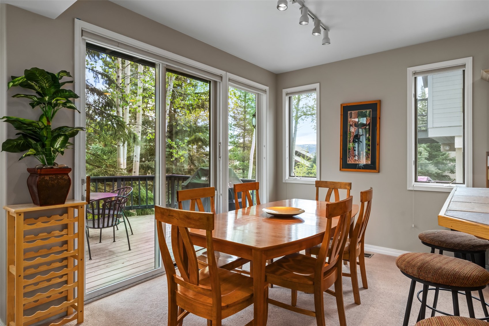 2665 Windward Way Steamboat Springs CO 80487